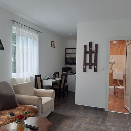 Vila Mozart - Apartments & Studios Kopaonik Exterior foto
