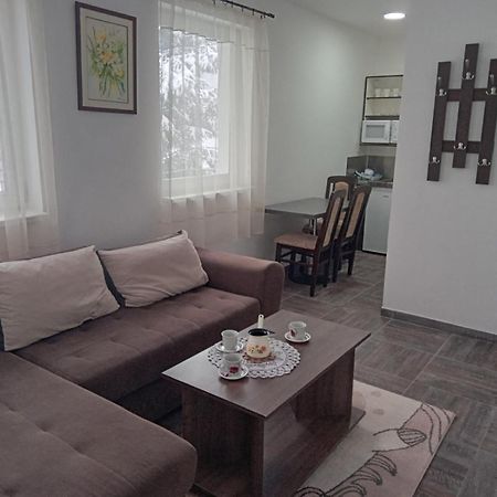 Vila Mozart - Apartments & Studios Kopaonik Exterior foto